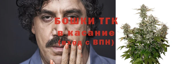 трава Арсеньев