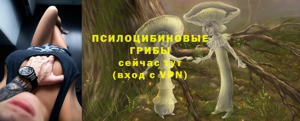 mix Армянск